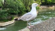 PICTURES/The Town of Bath & River Avon - Bath, England/t_20230518_133214.jpg